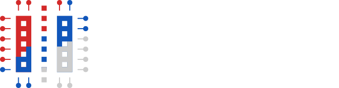 Serbian ITS Association